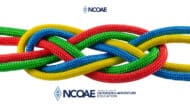 A colorful rope tied together with the words ncae.