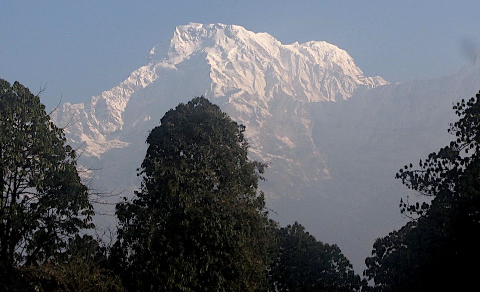 A view of a snow capped mountain with trees in the background.