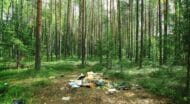 A pile of garbage in the middle of a forest.