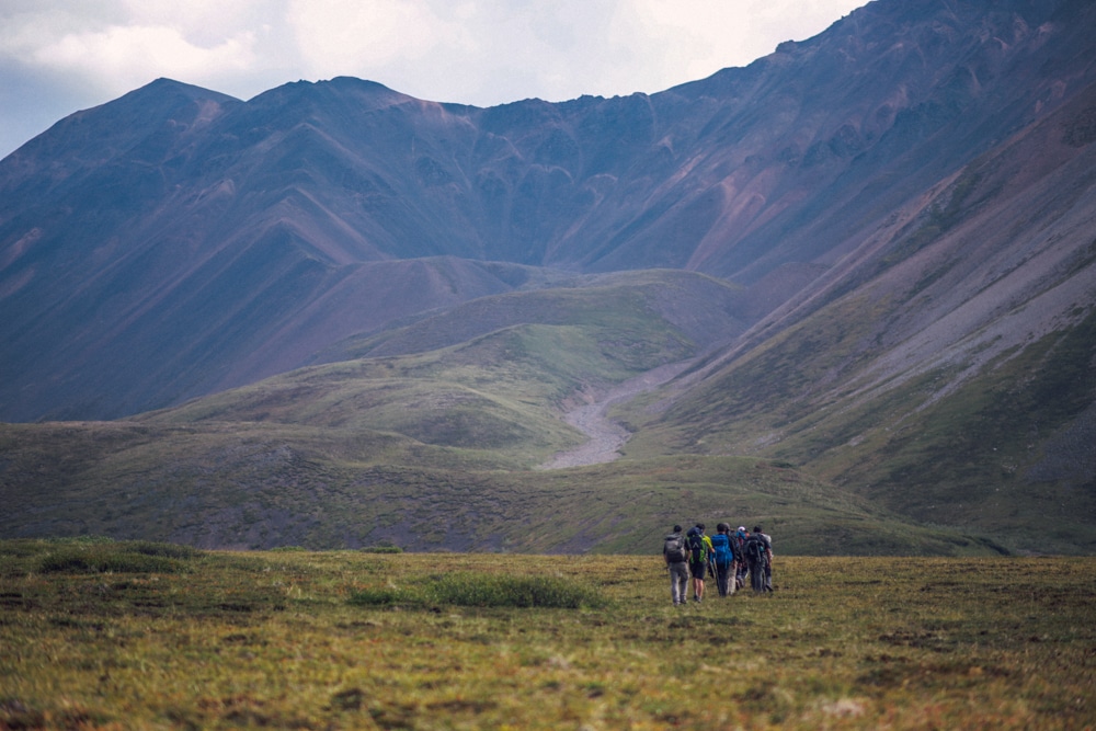 A group of people walking through a grassy area with mountains in the background.