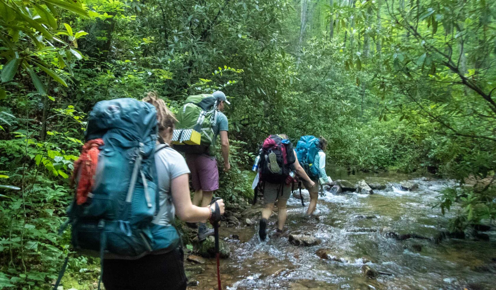 A group of people backpacking through a forest with a stream.