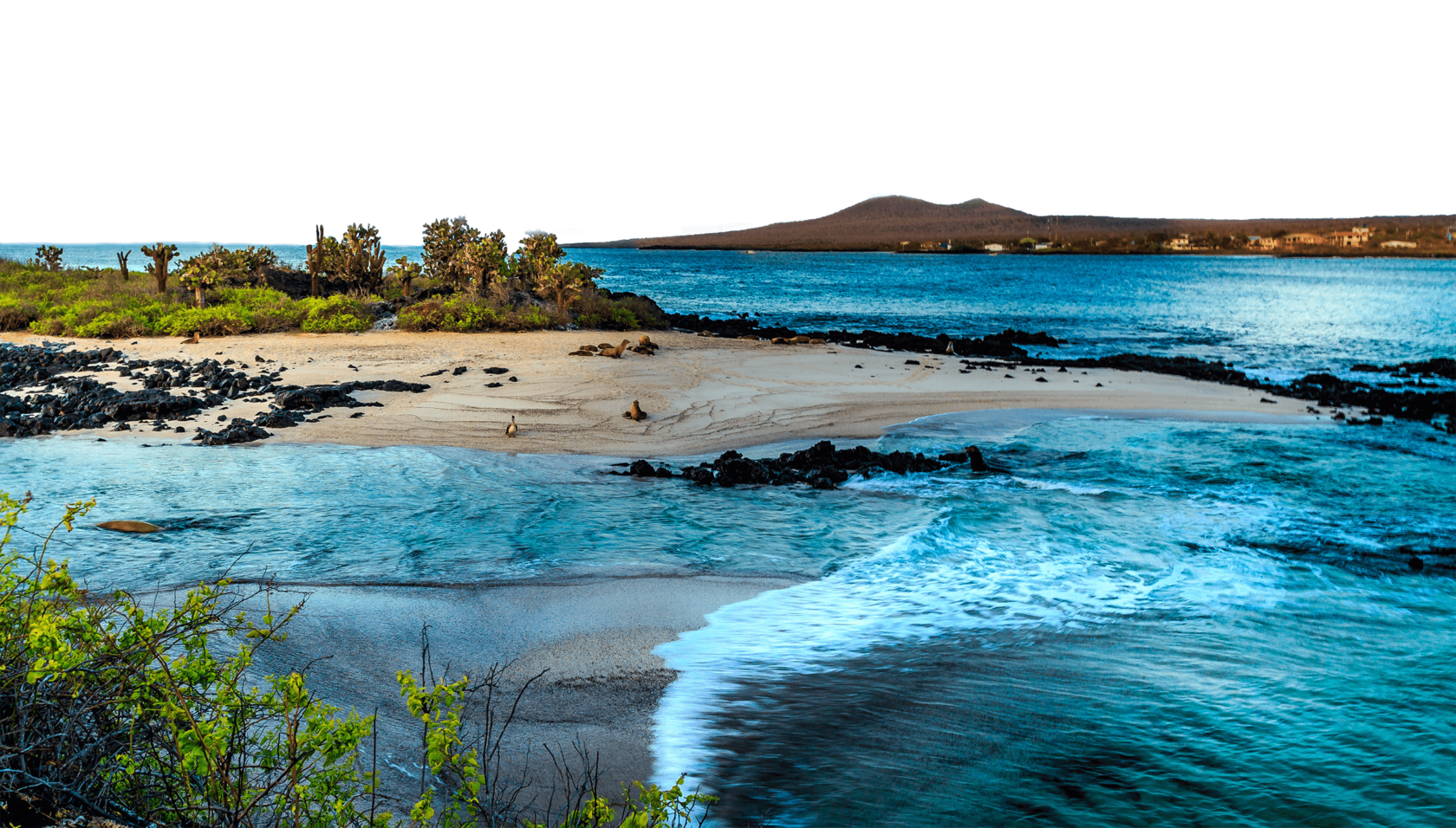 Beach landscapes of the Galapagos Islands.
