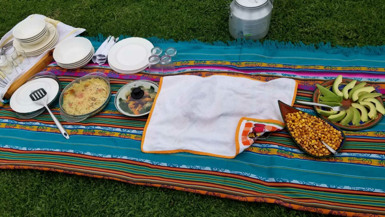 A picnic spread with dishes.