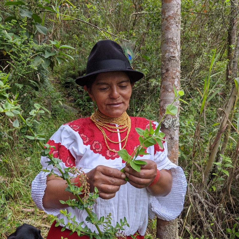 A woman examining a plant.
