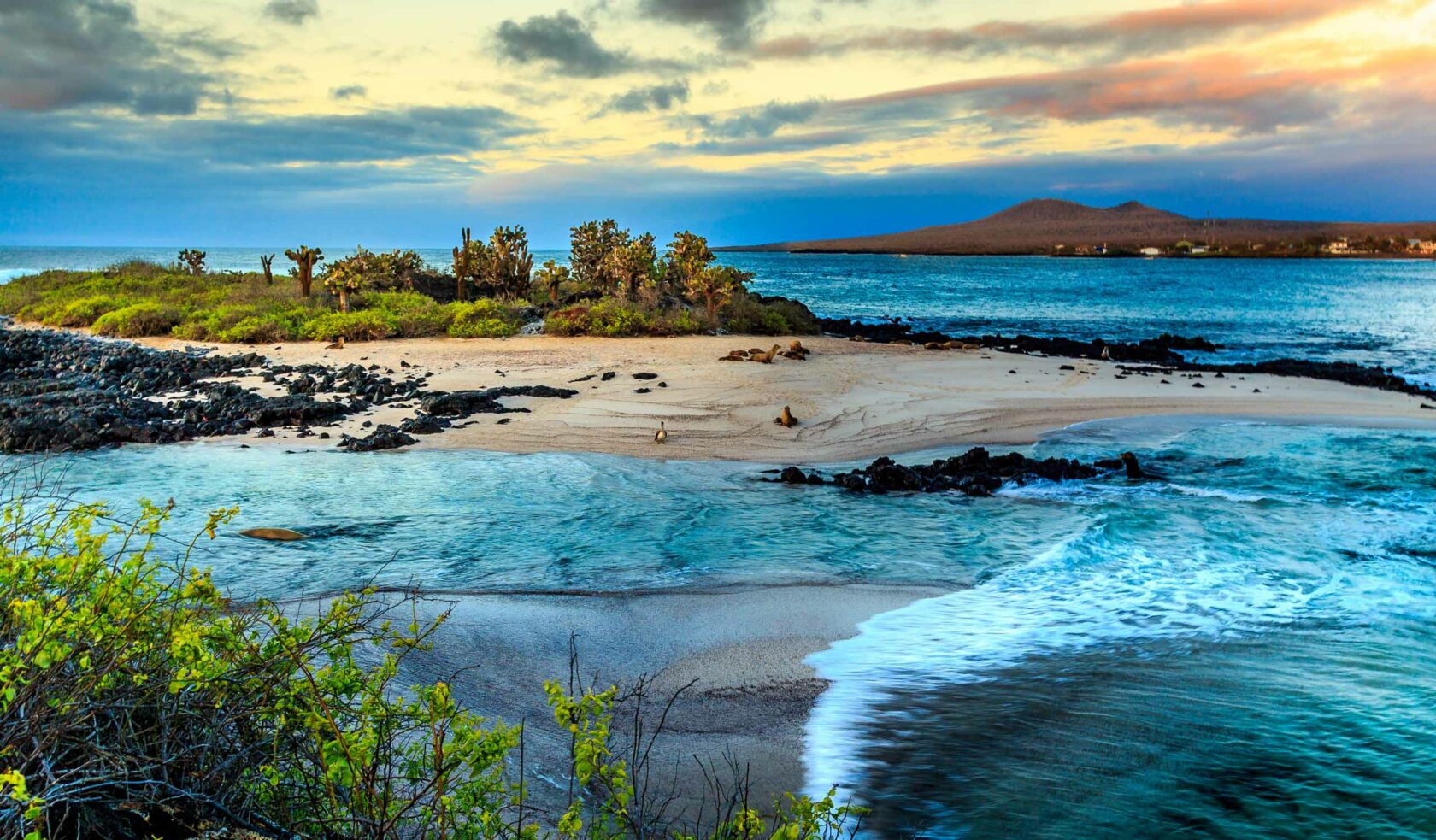 Beach landscapes of the Galapagos Islands.