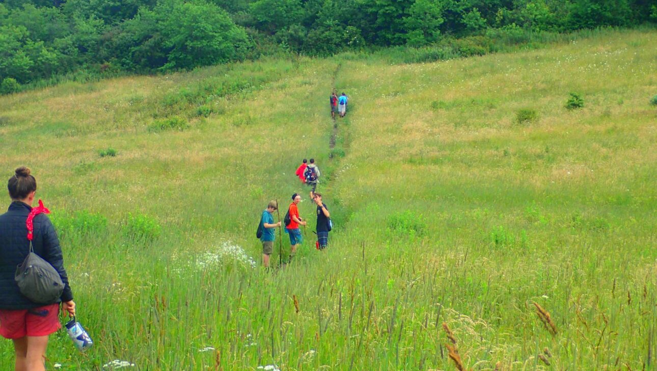 A group of students walking in a green field.