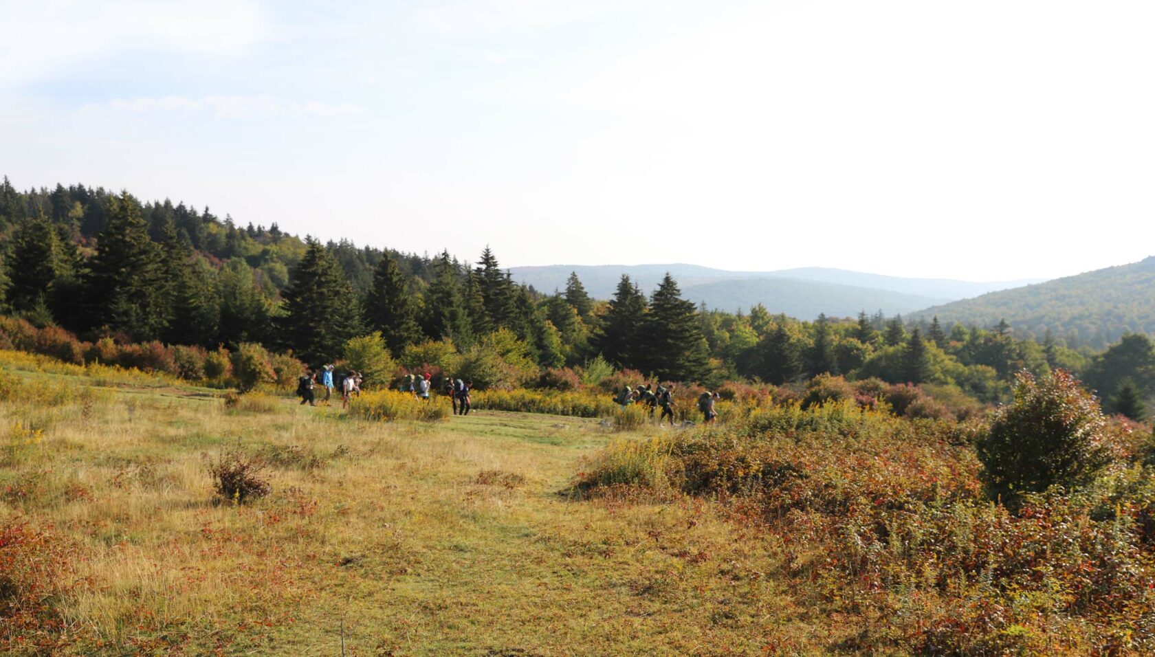 A landscape made up of grass and trees, along with a group of people backpacking.