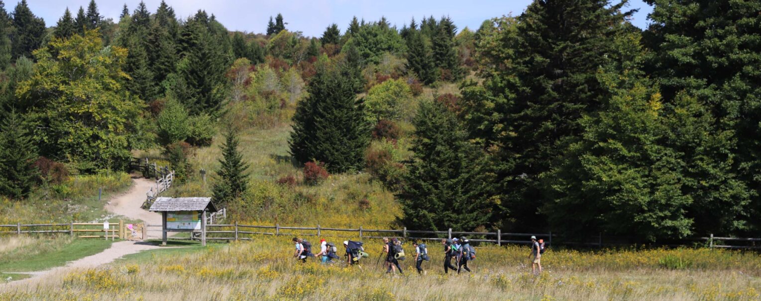 A group of people backpacking through a field.