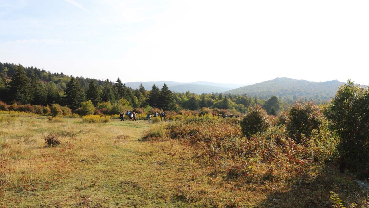 A landscape made up of grass and trees with a view of people backpacking.