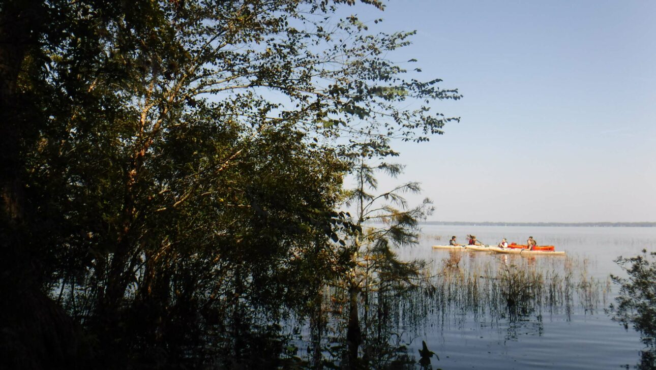 People seakayaking.