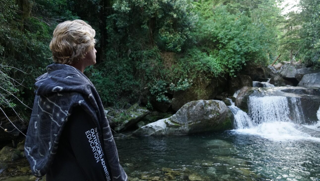 A person staring at a view of a small waterfall in a forest.