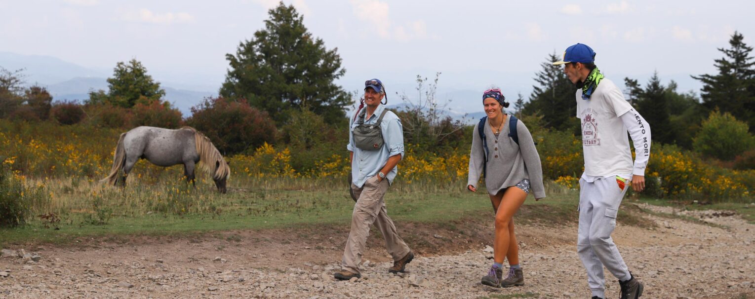 Three people walking on a path with a horse in the background.