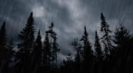 A dark stormy sky with trees in the foreground.