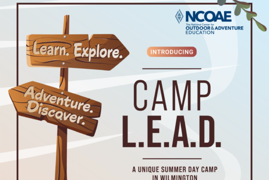 camp lead flyer page.